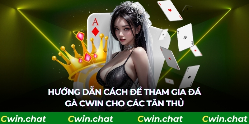 Hướng dẫn cách để tham gia đá gà Cwin cho các newbie