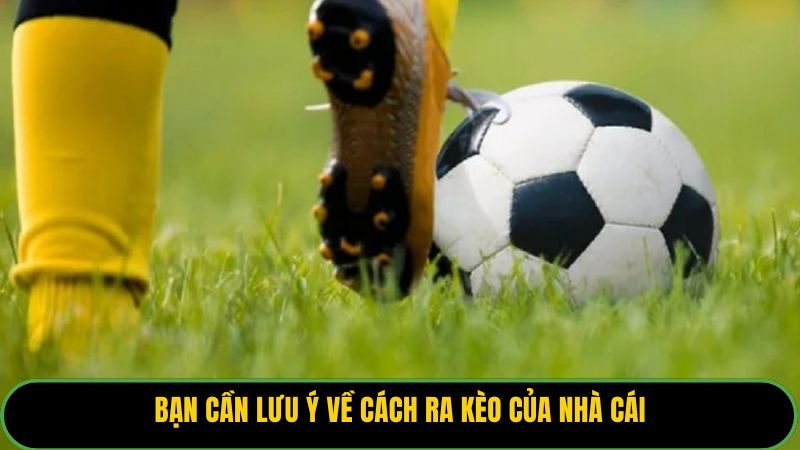 Bạn cần lưu ý về cách ra kèo của nhà cái