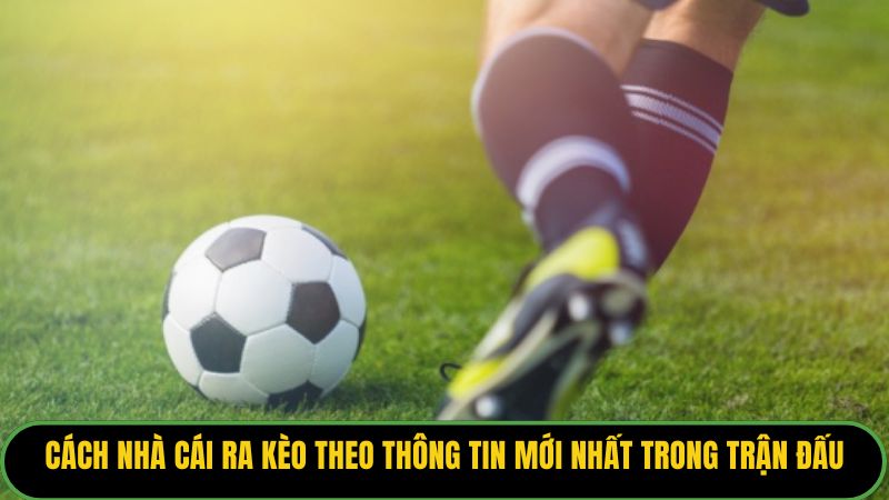 Cách nhà cái ra kèo theo thông tin mới nhất trong trận đấu