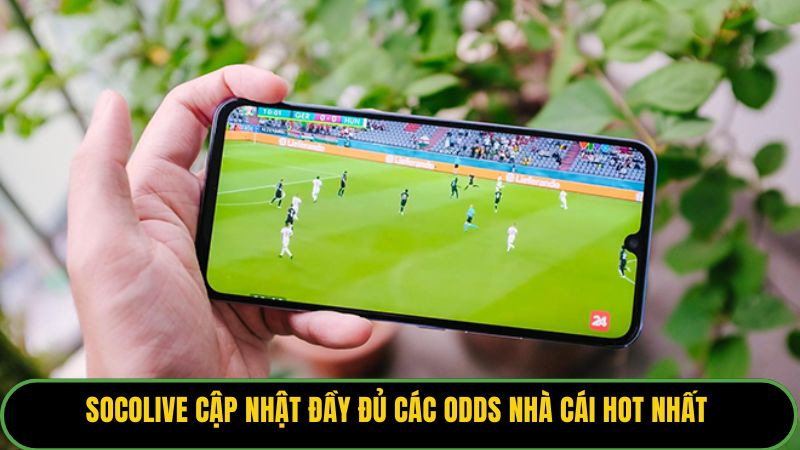 Socolive cập nhật đầy đủ các odds nhà cái hot nhất 