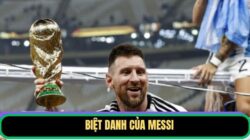 Biệt Danh Của Messi Qua Từng Giai Đoạn Sự Nghiệp Bóng Đá