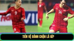 Tiền Vệ Đánh Chặn Là Gì Trên Sân? Đặc Điểm Và Vai Trò